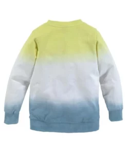 Bench. Sweatshirt »mit Farbverlauf« -Günstiges Bench Geschäft 925d6e56 2db5 5cc2 899b 15dc937448c3