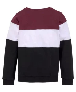 Bench. Sweatshirt in Colorblocking -Günstiges Bench Geschäft b35a08d9 6489 5dfa a3a7 dd572ac9b550