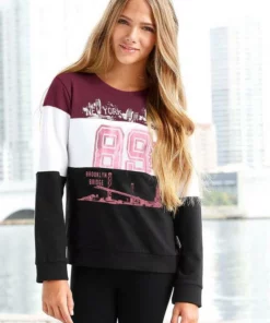 Bench. Sweatshirt in Colorblocking -Günstiges Bench Geschäft f73ecc1e 8fc0 55e4 a9da f2aa48d00271